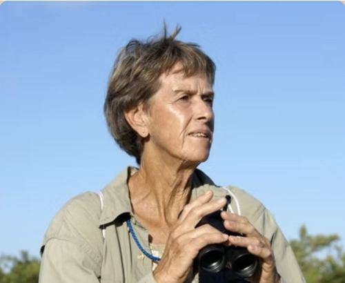 Carolyn Wardle, Founder
